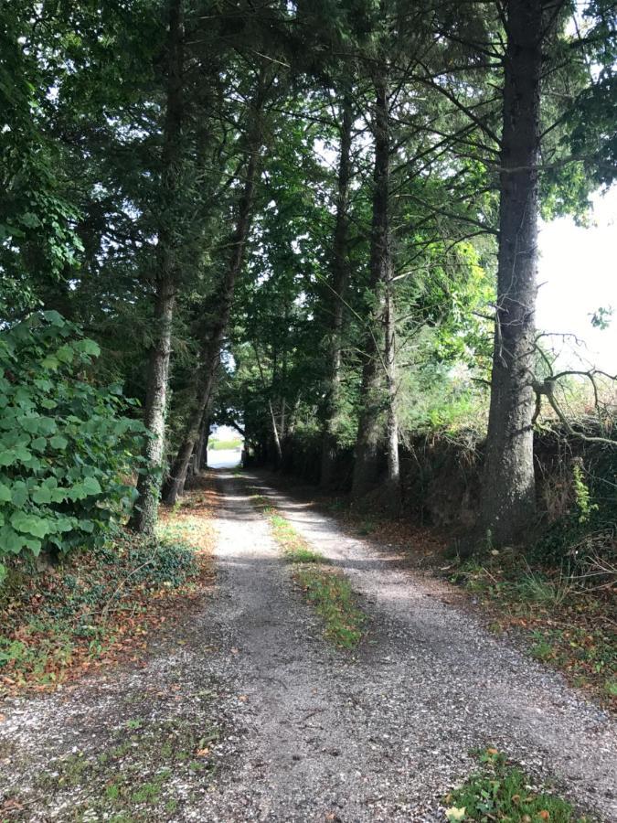 Manoir De Parc Ar Brun Villa Tréguier Kültér fotó
